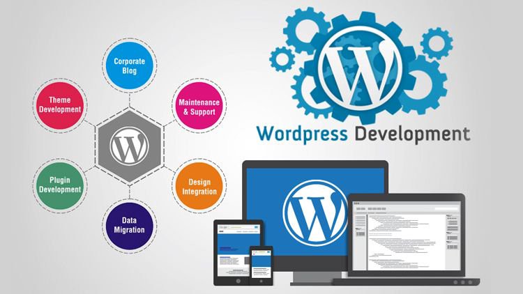 Master WordPress Development with Expert Training in Rajkot At MDIDM INFOWAY