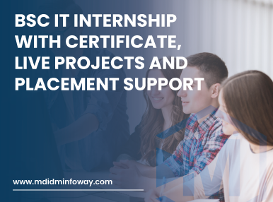 BSc IT Internship With Certificate, Live Projects And Placement Support1