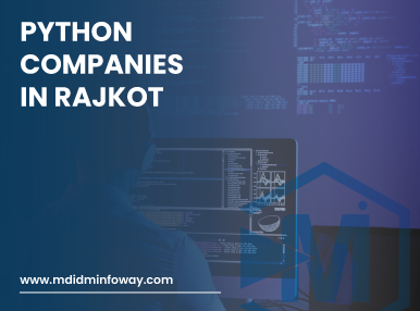 Python Companies In Rajkot